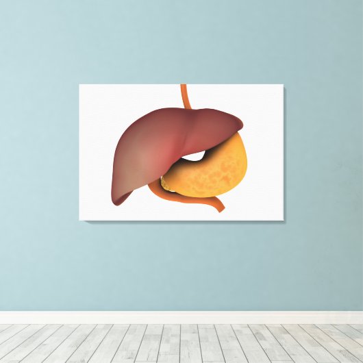 Conceptueel Afbeelding van het spijsverteringsstel Canvas Afdruk (Insitu (Houten vloer))