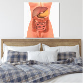 Conceptueel Afbeelding van het spijsverteringsstel Canvas Afdruk (Insitu (Slaapkamer))