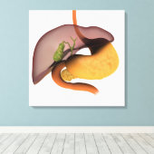 Conceptueel Afbeelding van het spijsverteringsstel Canvas Afdruk (Insitu (Houten vloer))