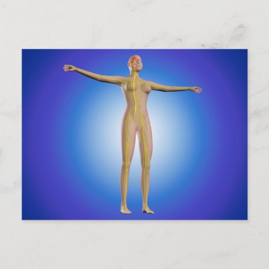 Conceptueel Afbeelding van het Vrouw Zenuwstelsel Briefkaart (Voorkant)