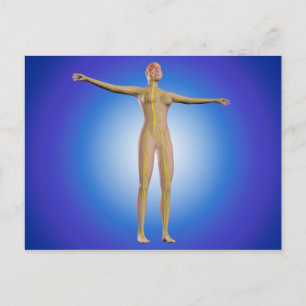Conceptueel Afbeelding van het Vrouw Zenuwstelsel Briefkaart