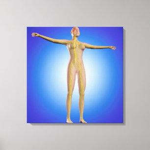 Conceptueel Afbeelding van het Vrouw Zenuwstelsel Canvas Afdruk