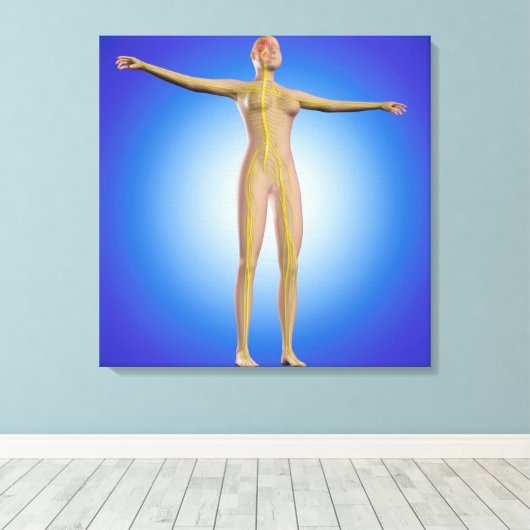 Conceptueel Afbeelding van het Vrouw Zenuwstelsel Canvas Afdruk (Insitu (Houten vloer))