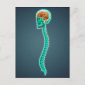 Conceptueel Afbeelding van humaan brein, schedel e Briefkaart (Voorkant)