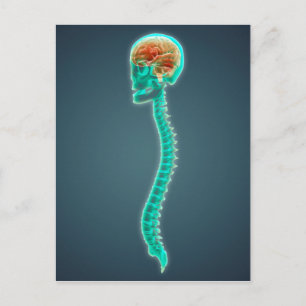 Conceptueel Afbeelding van humaan brein, schedel e Briefkaart