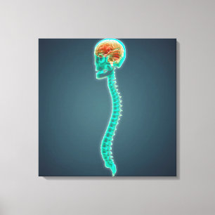 Conceptueel Afbeelding van humaan brein, schedel e Canvas Afdruk