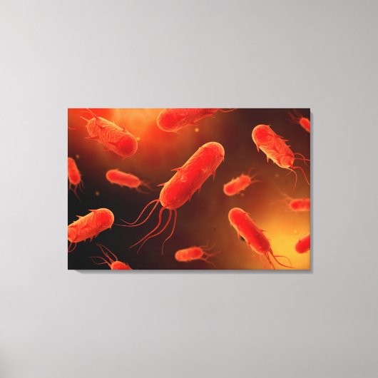 Conceptueel Afbeelding van lagellaatbacterie 1 Canvas Afdruk (Voorkant)