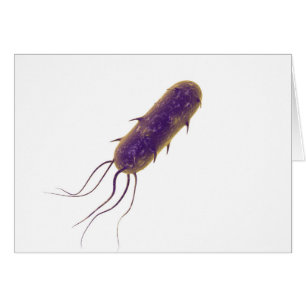 Conceptueel Afbeelding van lagellaatbacterie 2