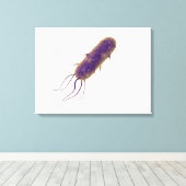 Conceptueel Afbeelding van lagellaatbacterie 2 Canvas Afdruk (Insitu (Houten vloer))