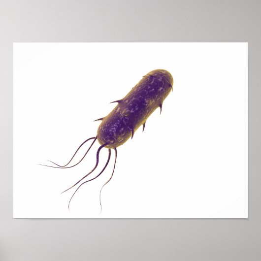 Conceptueel Afbeelding van lagellaatbacterie 2 Poster (Voorkant)