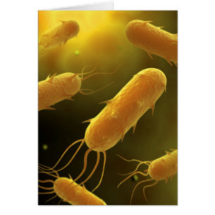 Conceptueel Afbeelding van lagellaatbacterie 3