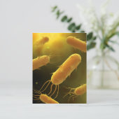 Conceptueel Afbeelding van lagellaatbacterie 3 Briefkaart (Staand voorkant)