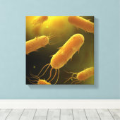 Conceptueel Afbeelding van lagellaatbacterie 3 Canvas Afdruk (Insitu (Houten vloer))