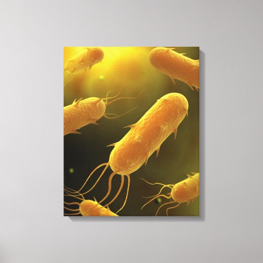 Conceptueel Afbeelding van lagellaatbacterie 3 Canvas Afdruk (Voorkant)