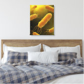 Conceptueel Afbeelding van lagellaatbacterie 3 Canvas Afdruk (Insitu (Slaapkamer))