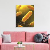 Conceptueel Afbeelding van lagellaatbacterie 3 Canvas Afdruk (Insitu (Woonkamer))