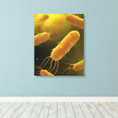 Conceptueel Afbeelding van lagellaatbacterie 3 Canvas Afdruk (Insitu (Houten vloer))