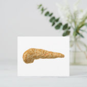 Conceptueel Afbeelding van menselijke alvleesklier Briefkaart (Staand voorkant)