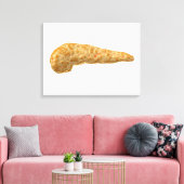 Conceptueel Afbeelding van menselijke alvleesklier Canvas Afdruk (Insitu (Woonkamer))