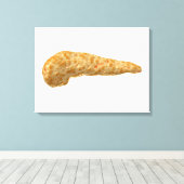 Conceptueel Afbeelding van menselijke alvleesklier Canvas Afdruk (Insitu (Houten vloer))