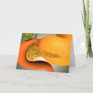 Conceptueel Afbeelding van Menselijke Alvleesklier Kaart