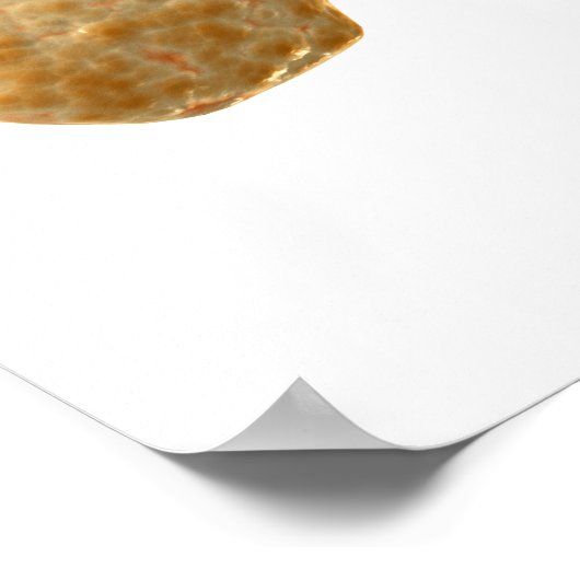 Conceptueel Afbeelding van menselijke alvleesklier Poster (Hoek)