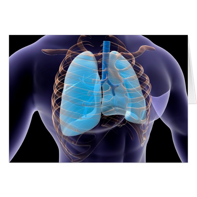 Conceptueel Afbeelding van menselijke longen en ri (Voorkant Horizontaal)