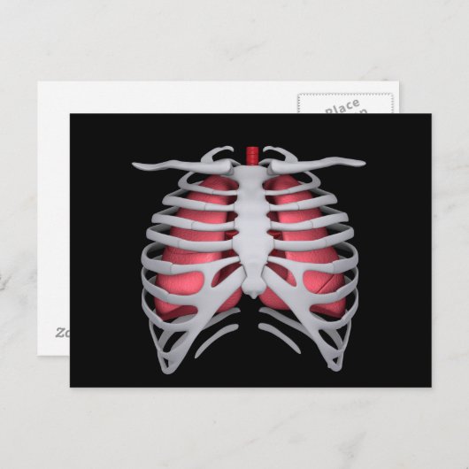 Conceptueel Afbeelding van menselijke longen en ri Briefkaart (Voorkant / Achterkant)