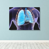 Conceptueel Afbeelding van menselijke longen en ri Canvas Afdruk (Insitu (Houten vloer))