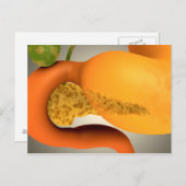 Conceptueel Afbeelding van menselijke pancreas en  Briefkaart (Voorkant / Achterkant)