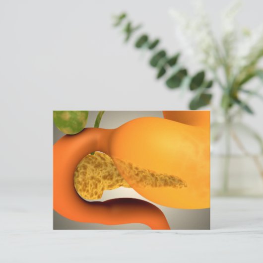 Conceptueel Afbeelding van menselijke pancreas en  Briefkaart (Staand voorkant)