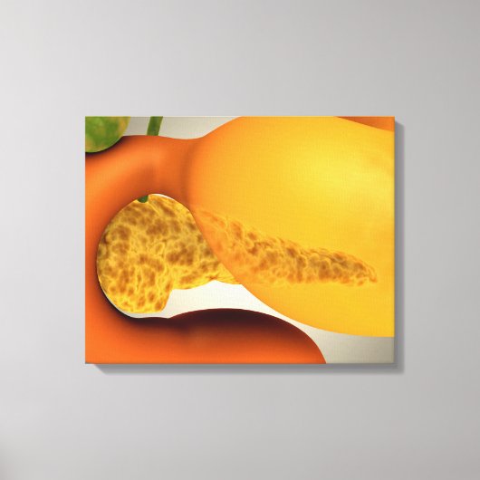 Conceptueel Afbeelding van menselijke pancreas en Canvas Afdruk (Voorkant)