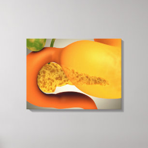 Conceptueel Afbeelding van menselijke pancreas en Canvas Afdruk