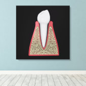 Conceptueel Afbeelding van menselijke tanden 1 Canvas Afdruk (Insitu (Houten vloer))