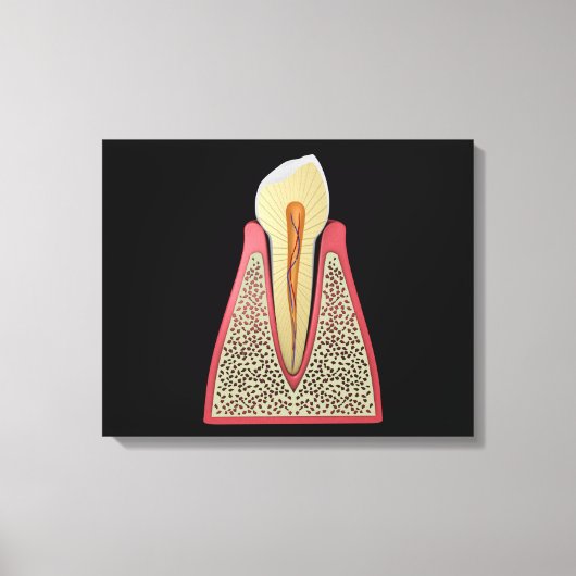 Conceptueel Afbeelding van menselijke tanden 2 Canvas Afdruk (Voorkant)