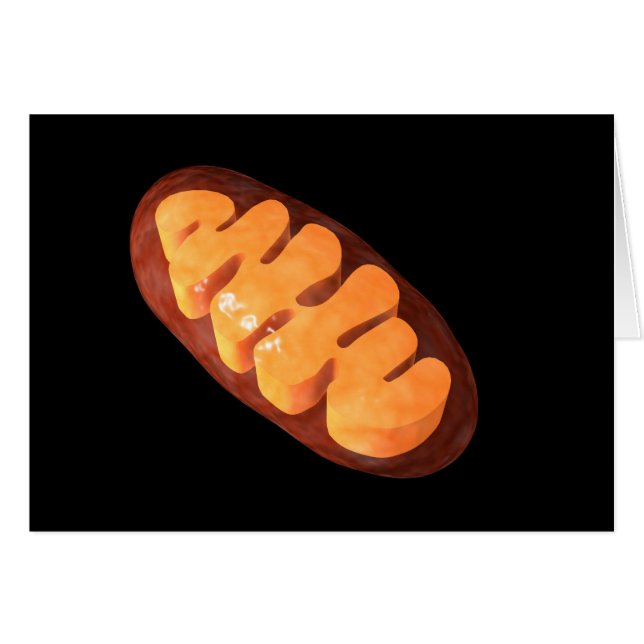 Conceptueel Afbeelding van mitochondria 1 (Voorkant Horizontaal)