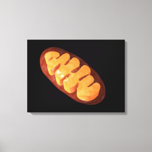 Conceptueel Afbeelding van mitochondria 1 Canvas Afdruk (Voorkant)