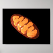 Conceptueel Afbeelding van mitochondria 1 Poster (Voorkant)