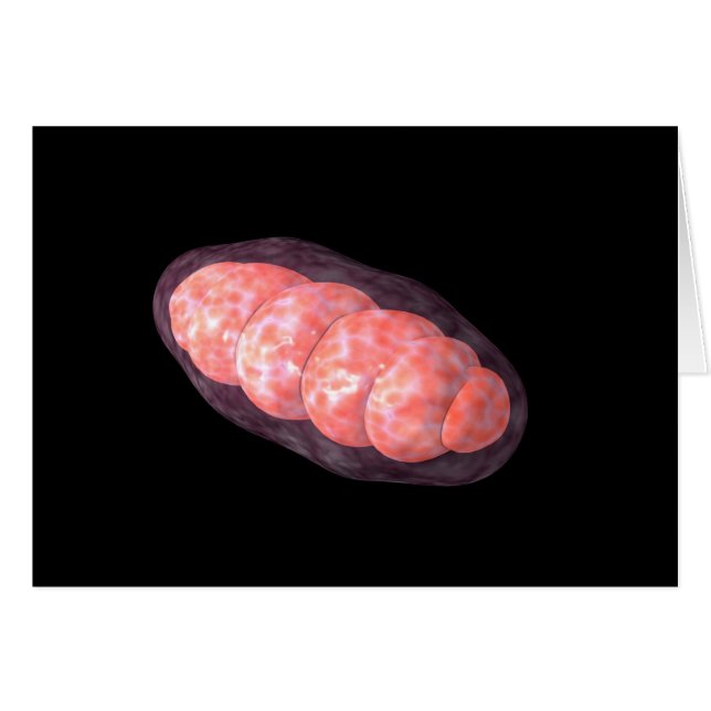 Conceptueel Afbeelding van Mitochondria 2 (Voorkant Horizontaal)