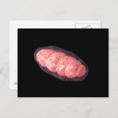 Conceptueel Afbeelding van Mitochondria 2 Briefkaart (Voorkant / Achterkant)