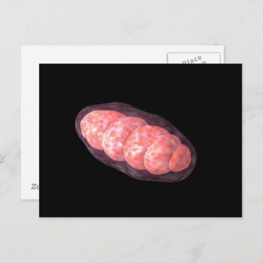 Conceptueel Afbeelding van Mitochondria 2 Briefkaart (Voorkant / Achterkant)