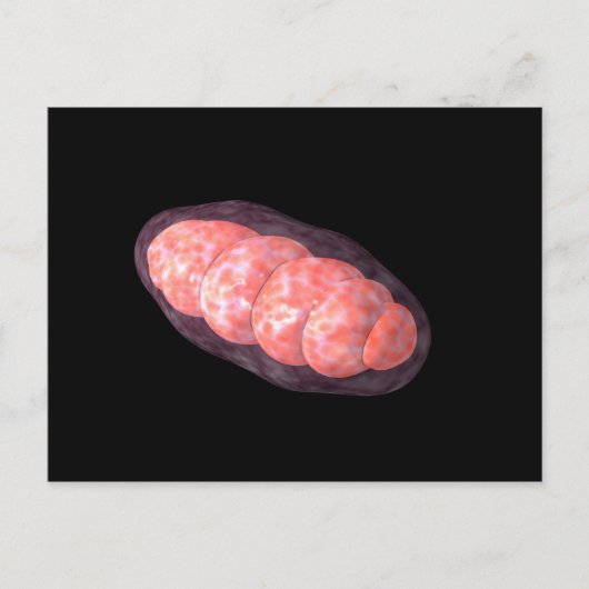 Conceptueel Afbeelding van Mitochondria 2 Briefkaart (Voorkant)
