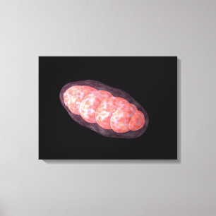 Conceptueel Afbeelding van Mitochondria 2 Canvas Afdruk