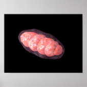Conceptueel Afbeelding van Mitochondria 2 Poster (Voorkant)