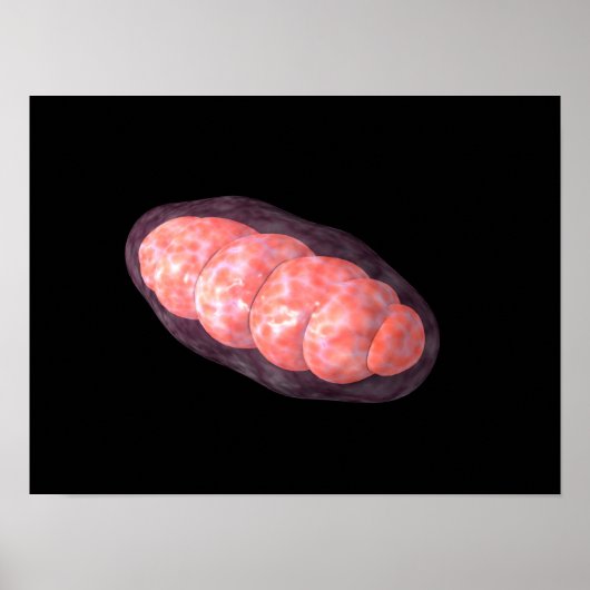 Conceptueel Afbeelding van Mitochondria 2 Poster (Voorkant)
