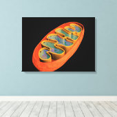 Conceptueel Afbeelding van Mitochondria 3 Canvas Afdruk (Insitu (Houten vloer))