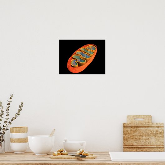 Conceptueel Afbeelding van Mitochondria 3 Poster (Keuken)