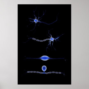 Conceptueel Afbeelding van neuron 1 Poster
