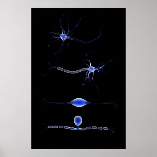 Conceptueel Afbeelding van neuron 1 Poster (Voorkant)