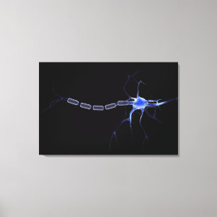 Conceptueel Afbeelding van neuron 2 Canvas Afdruk